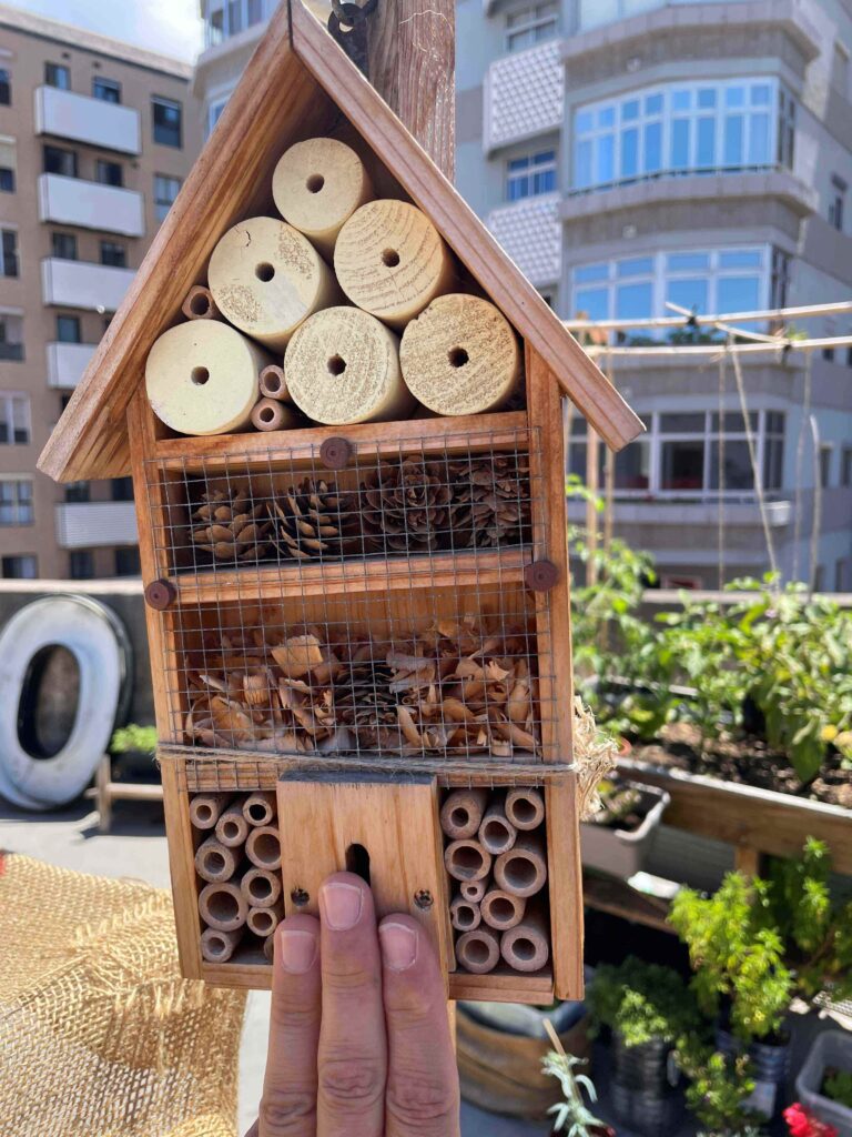 hotel de insectos en las palmas