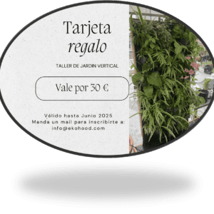 tarjeta regalo